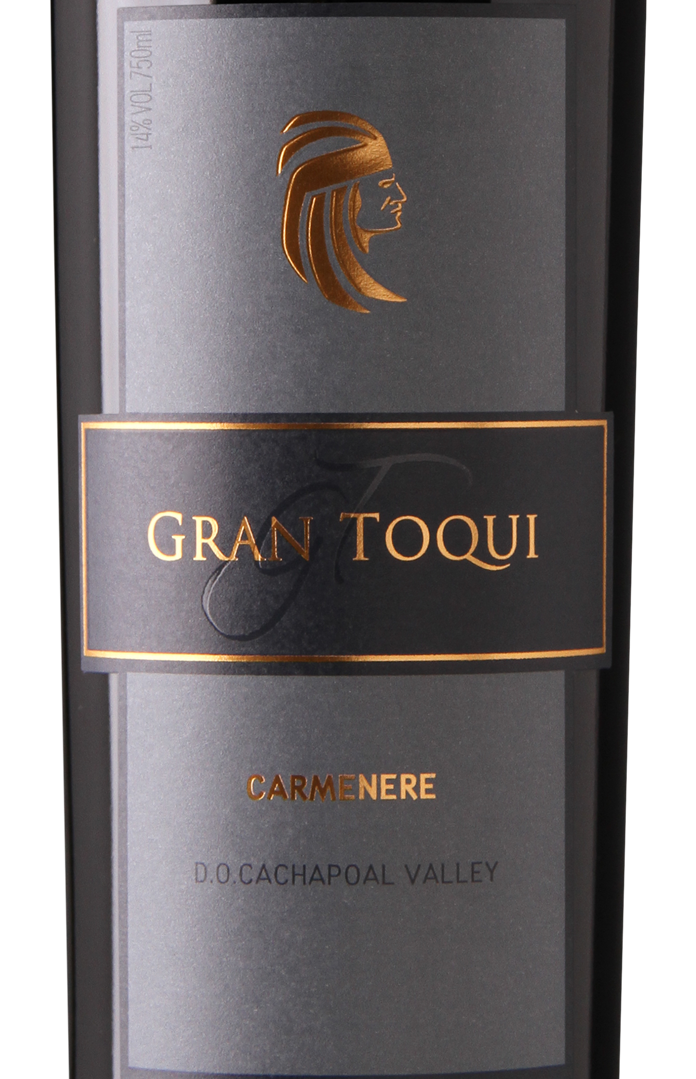 Gran Toqui Carmenere' - Casas del Toqui