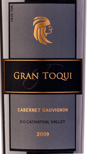 Gran Toqui Cabarnet Sauvignon - Casas del Toqui