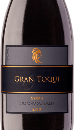 Gran Toqui Syrah - Casas del Toqui