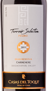 Gran Reserva Carmenere' -  Casas del Toqui